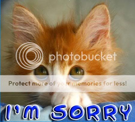 sorry_cat.jpg