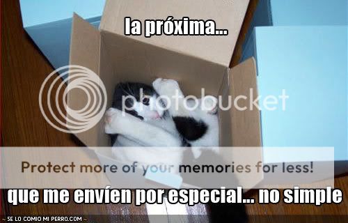 fotos-graciosas-gato-caja-envio-esp.jpg