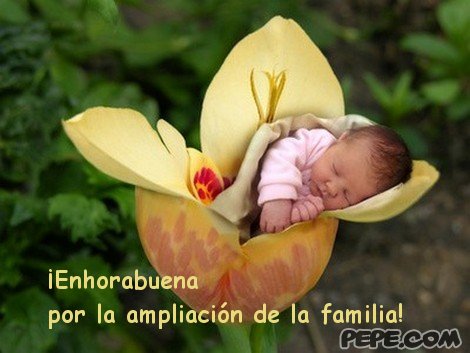 enhorabuena_por_la_ampliacion_de_la_familia_5.jpg