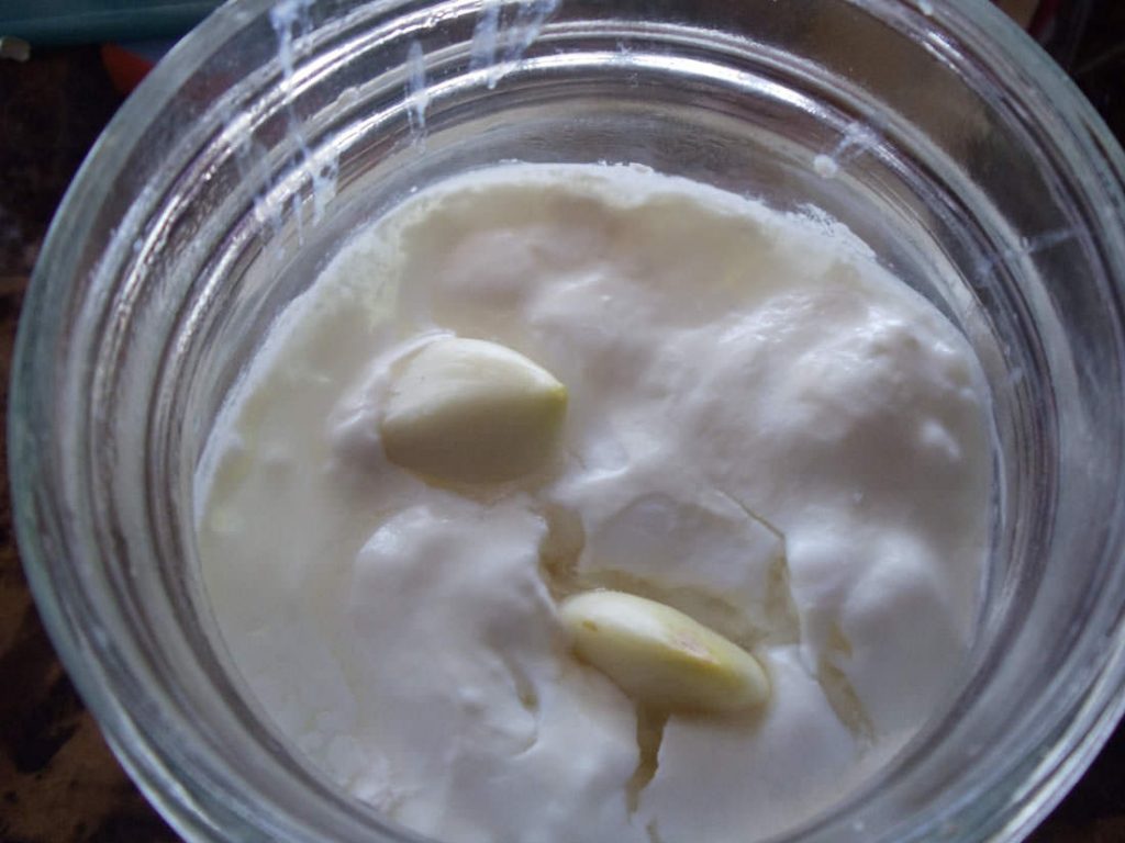 garlic-cloves-in-kefir-1024x768.jpg