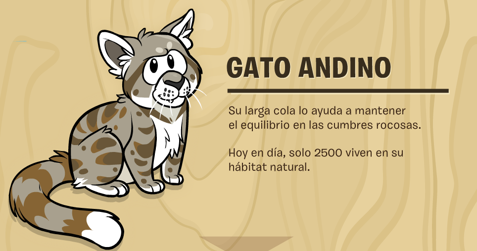 gato-andino1.png