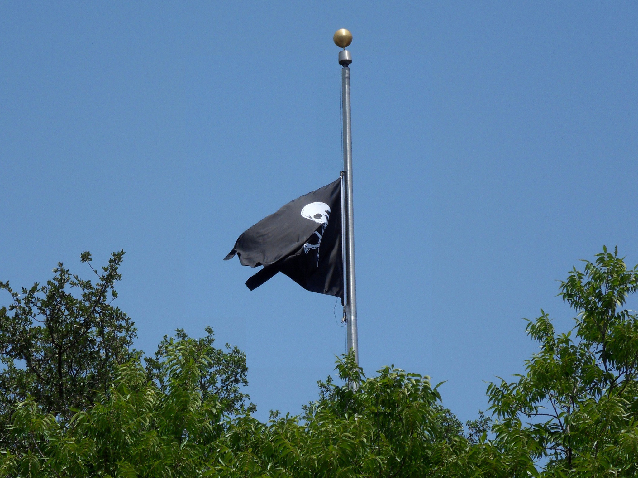 pirate-flag-half-staff.jpg