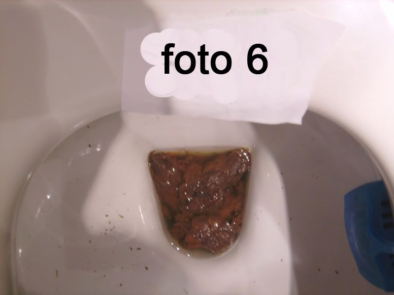 FOTO6copia.jpg