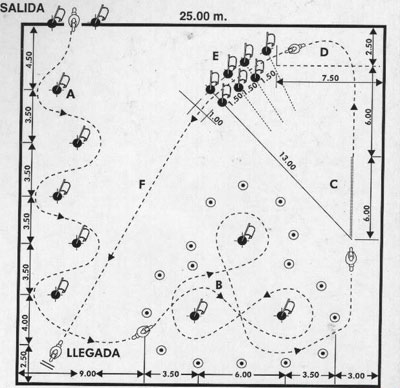 circuito_a.jpg