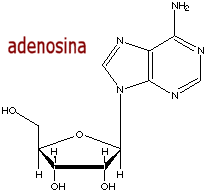 cafeina_adenosine.gif