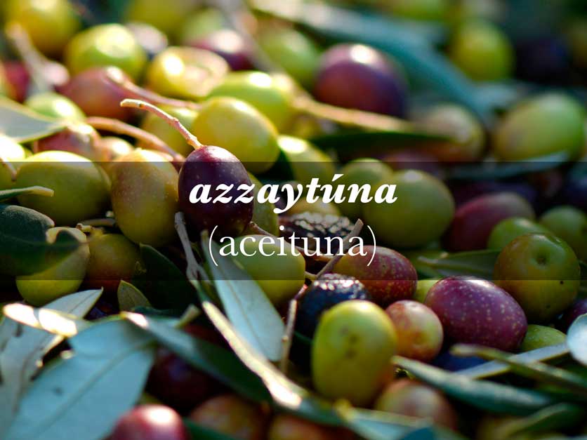 Cocina andalusí aceitunas