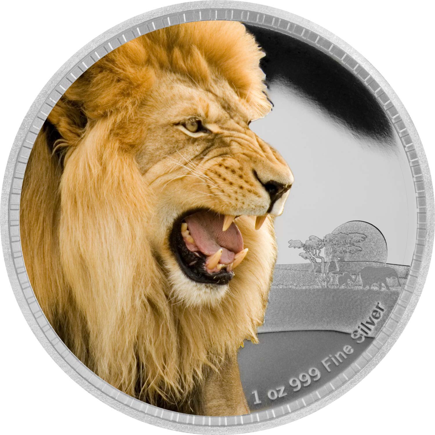 2016-NZM-King-of-Continents-African-Lion-REV.jpg