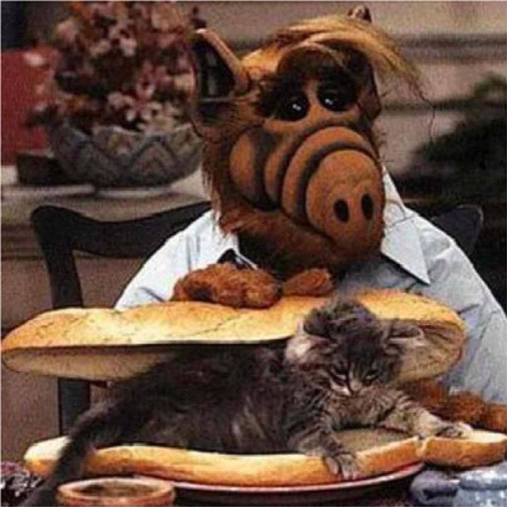 Alf-Caption-this-1024x1024.jpg