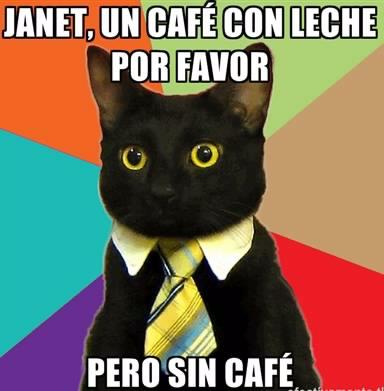 gato_oficina_cafe_con_leche_sin_cafe.jpg