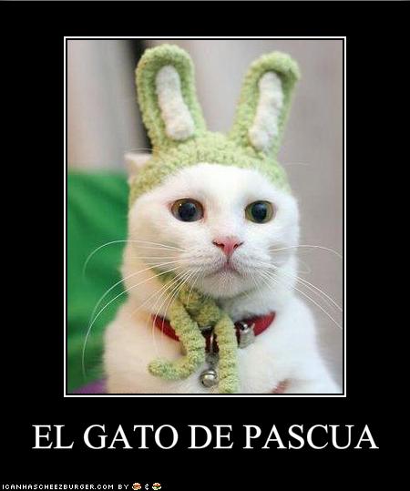 el-gato-de-pascua.jpg