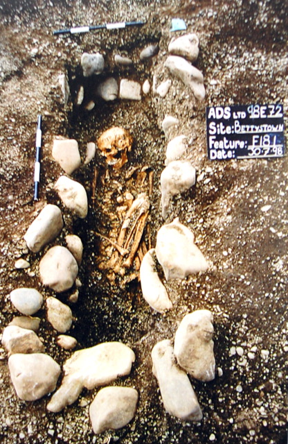 Iron-Age-burial-Ireland.jpg