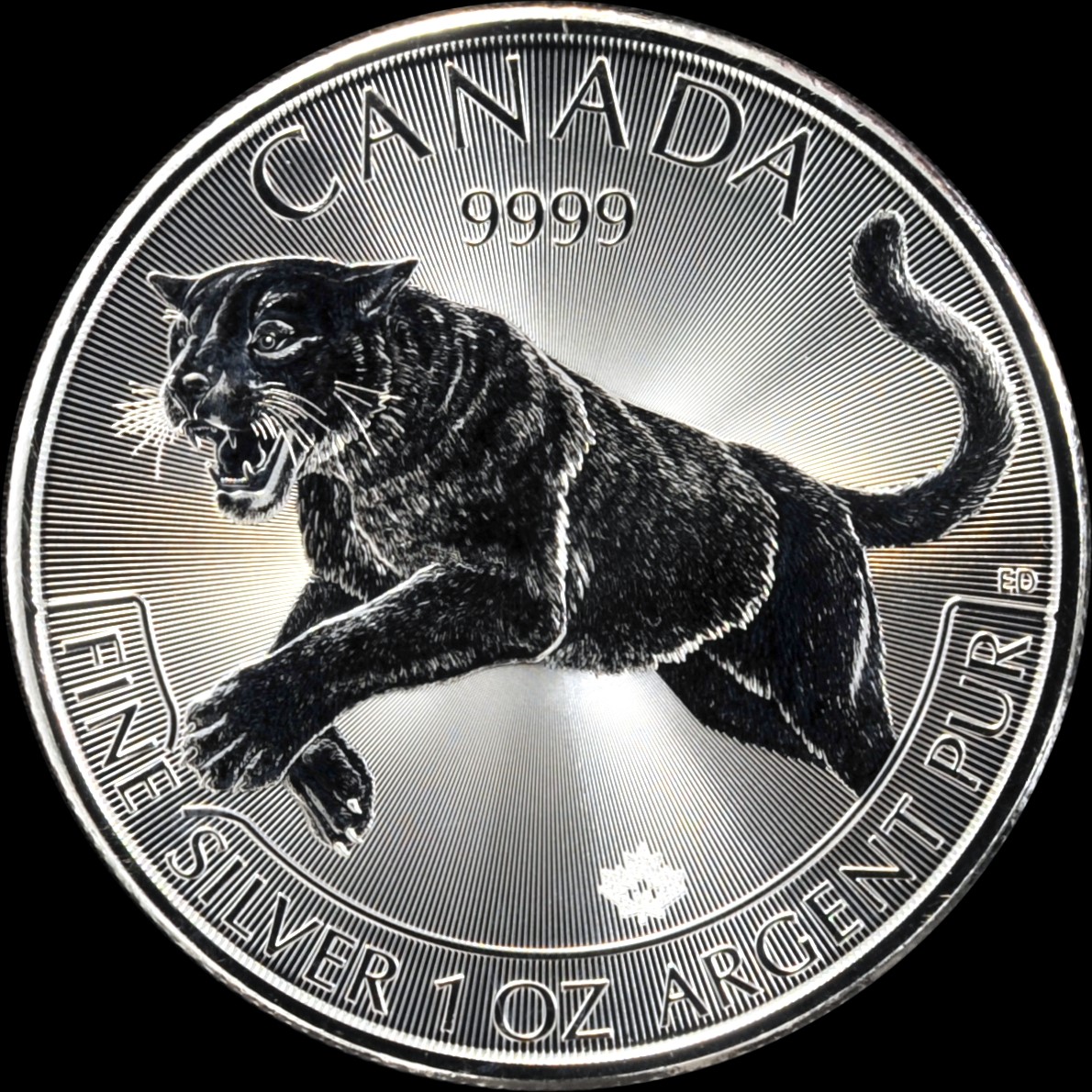 2016-RCM-Predator-Silver-bullion-coin-REV.jpg