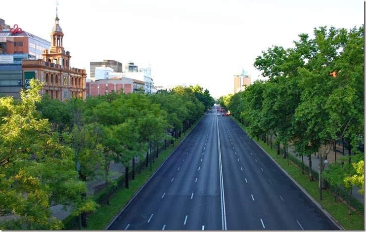 Paseo-de-la-Castellana-hacia-la-Plaz%25255B1%25255D.jpg