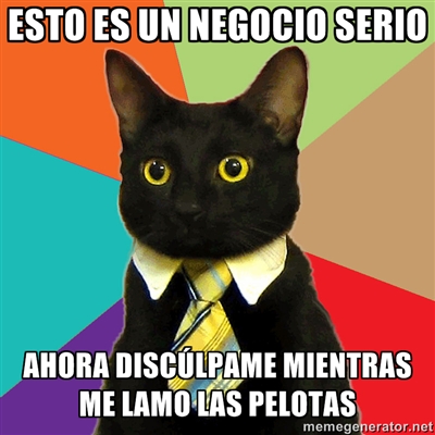 el-gato-ejecutivo.jpg