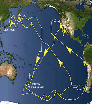 map-birds-migrating.gif