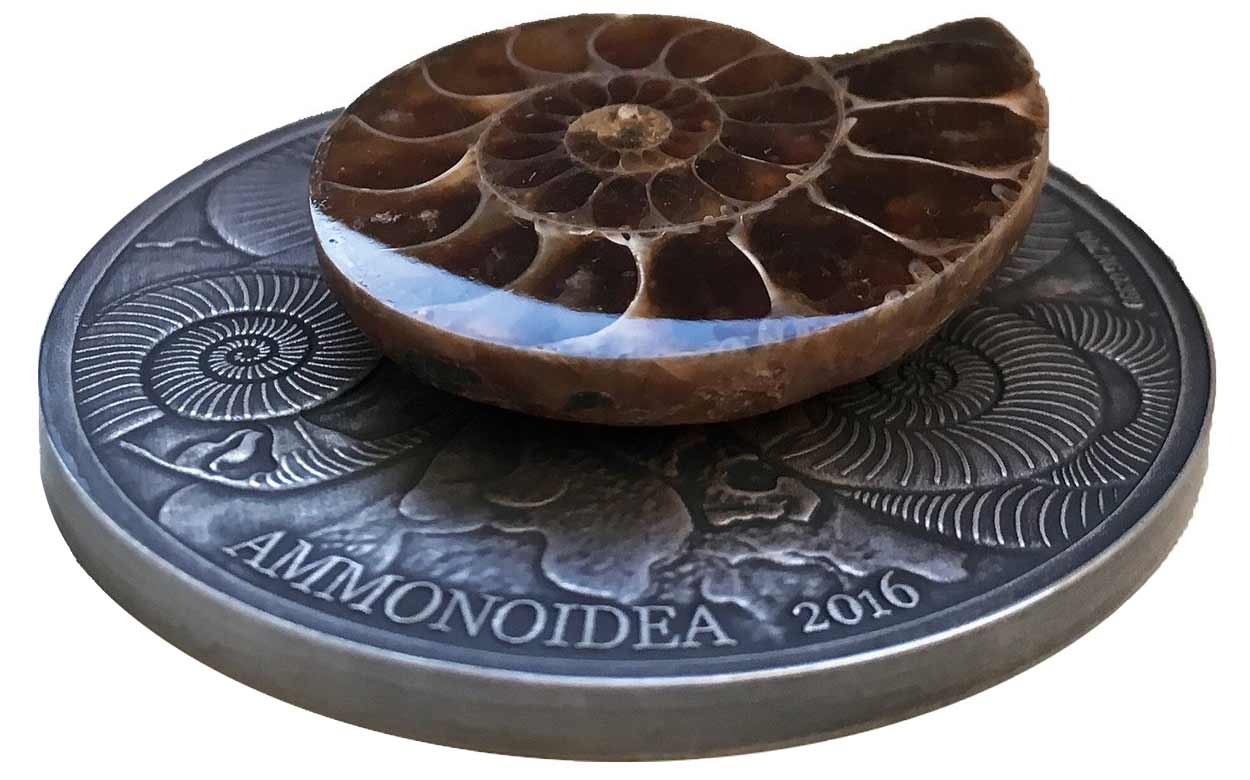 2016-MCI-World-of-Evolution-Ammonites-SIDE.jpg