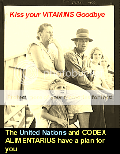 Codex_Alimentarius_United_Nations_B.png