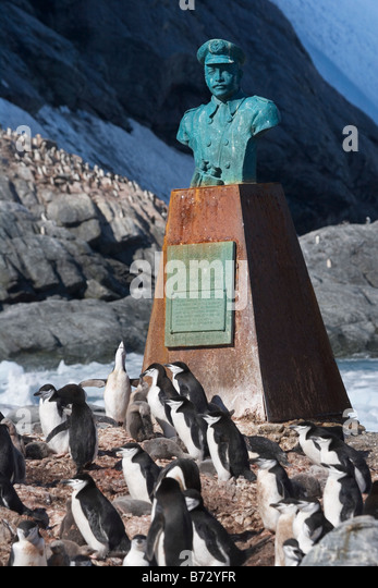 statue-of-shackleton-with-chinstrap-penguins-pygoscelis-antarcticus-b72yfr.jpg