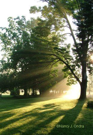 sunrise-at-farm-july-17-07.jpg