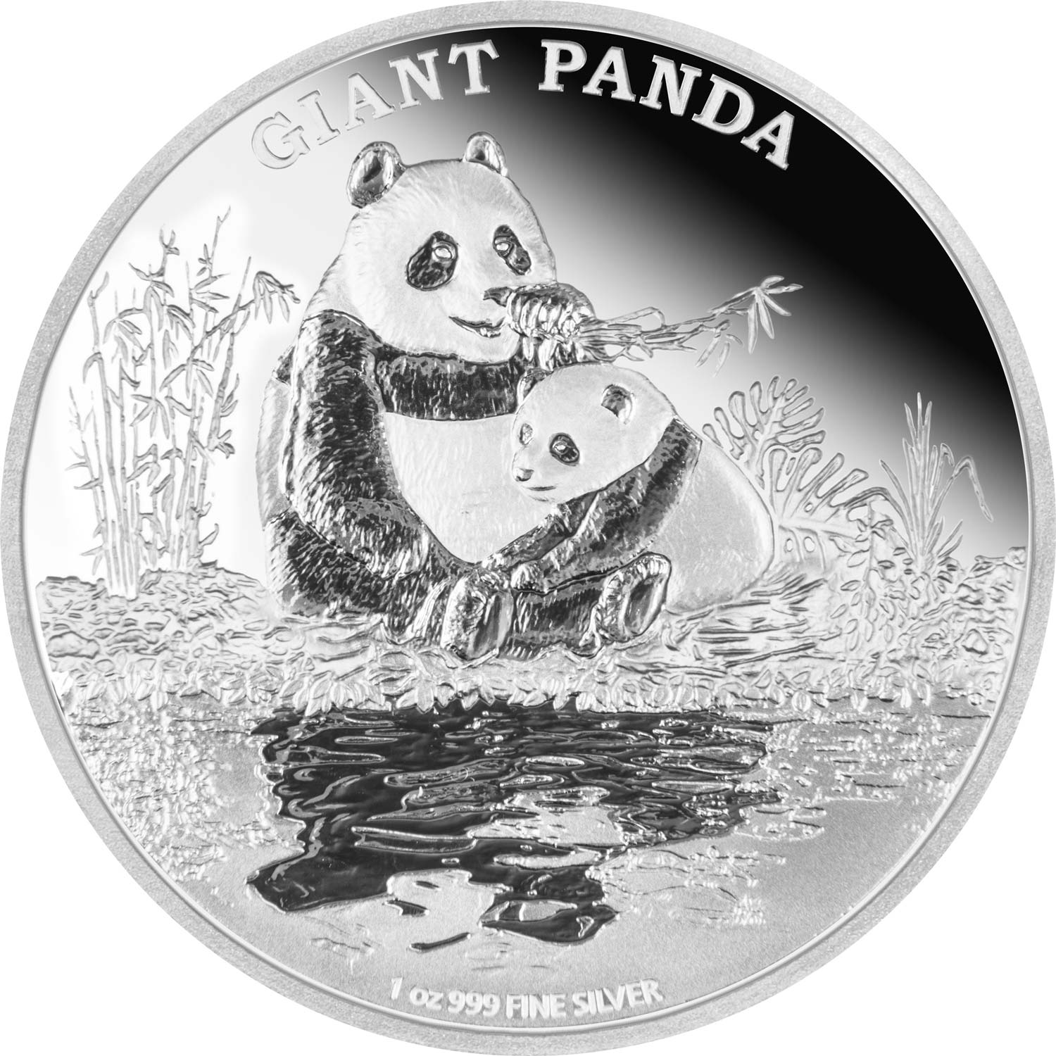 2016-NZM-Giant-Panda-REV.jpg