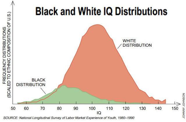 Race&IQ.jpeg