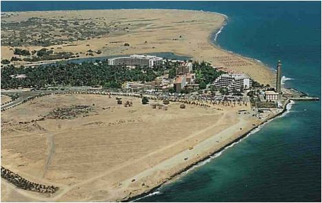 Maspalomas-palmeral-hist%C3%B3rica.jpg