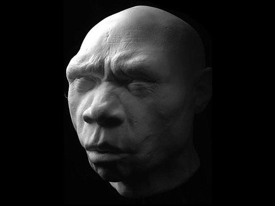 homo-heidelbergensis.jpg