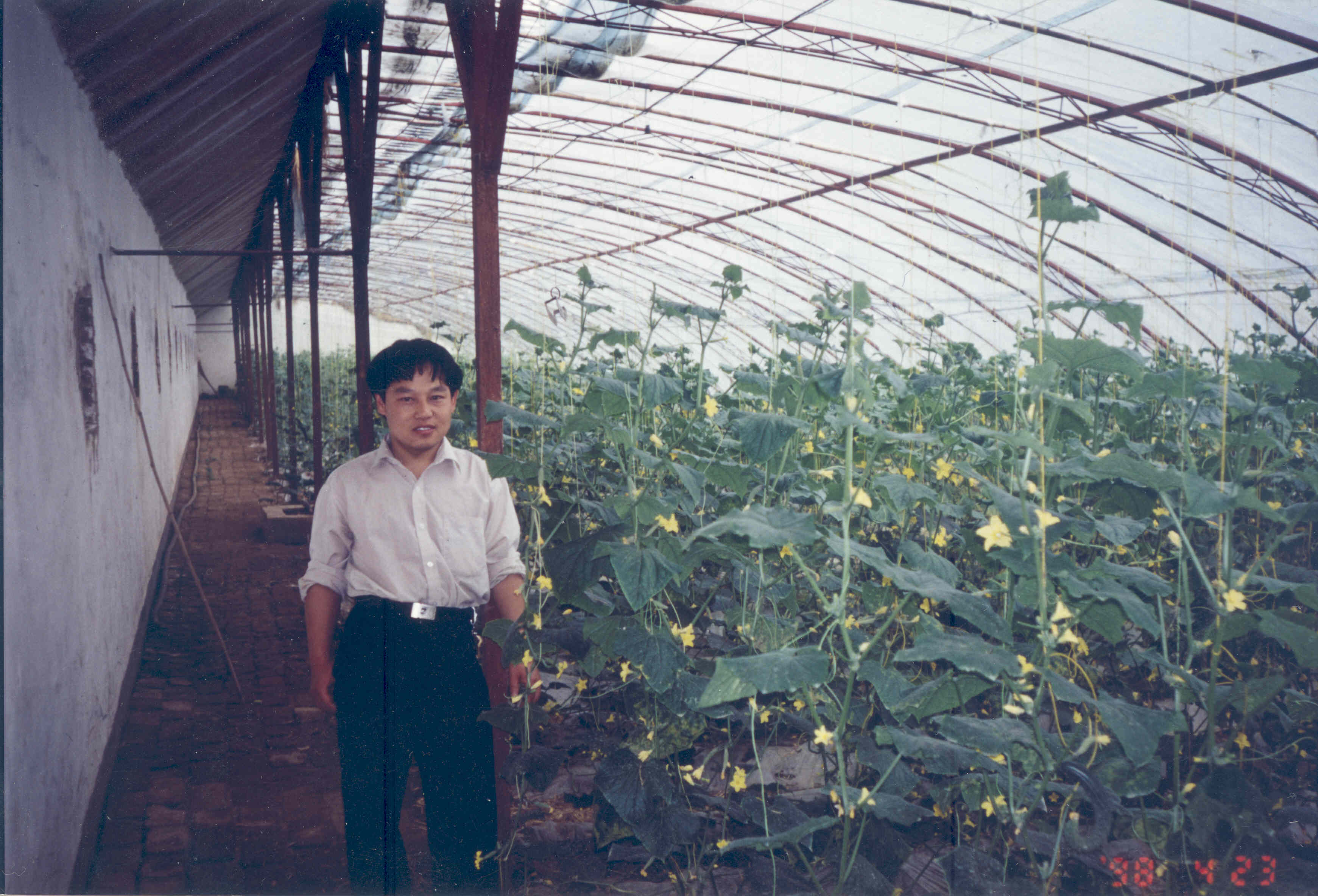 gu-in-chinese-greenhouse2.jpg