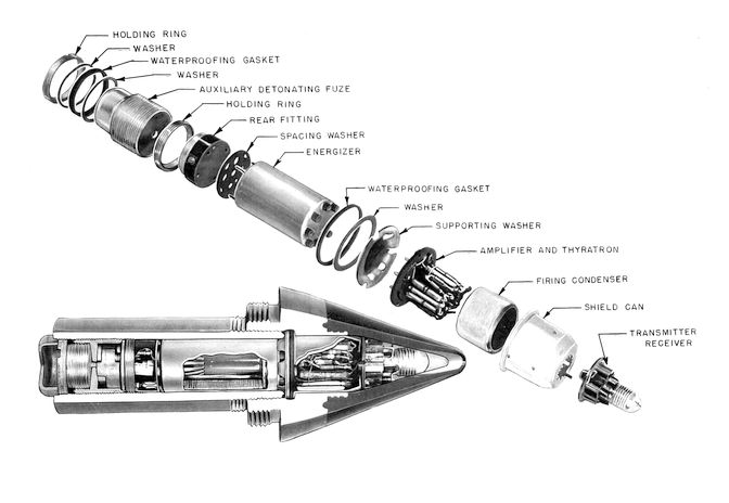 Shell3.jpg