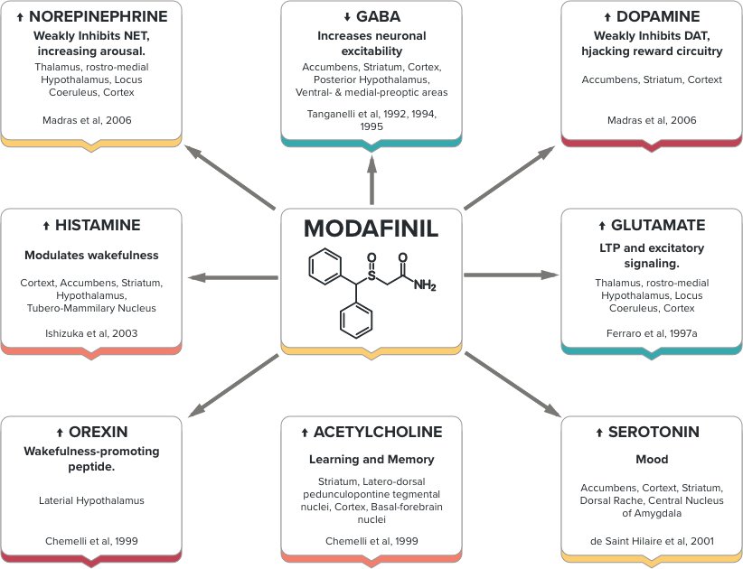 modafinil-mechanism.jpg