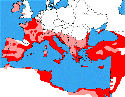 copiadecopiadechristianl%5B1%5D.gif