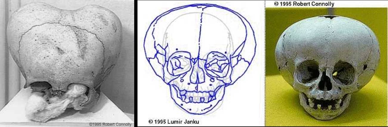 skull2.jpg