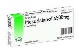 mesudalapolla.jpg