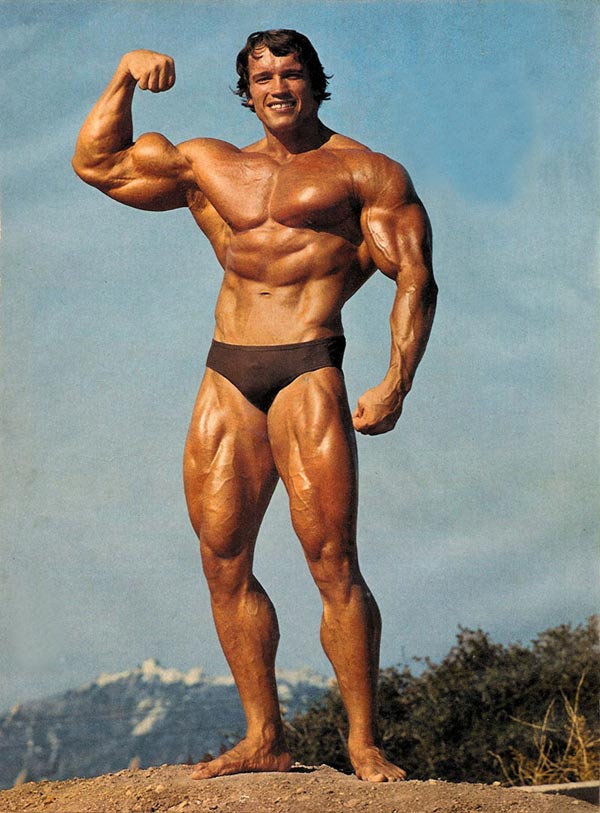 arnoldschwarzeneggerpicture.jpg