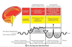 hermandadblanca_fases-sanacion-300x198.jpg