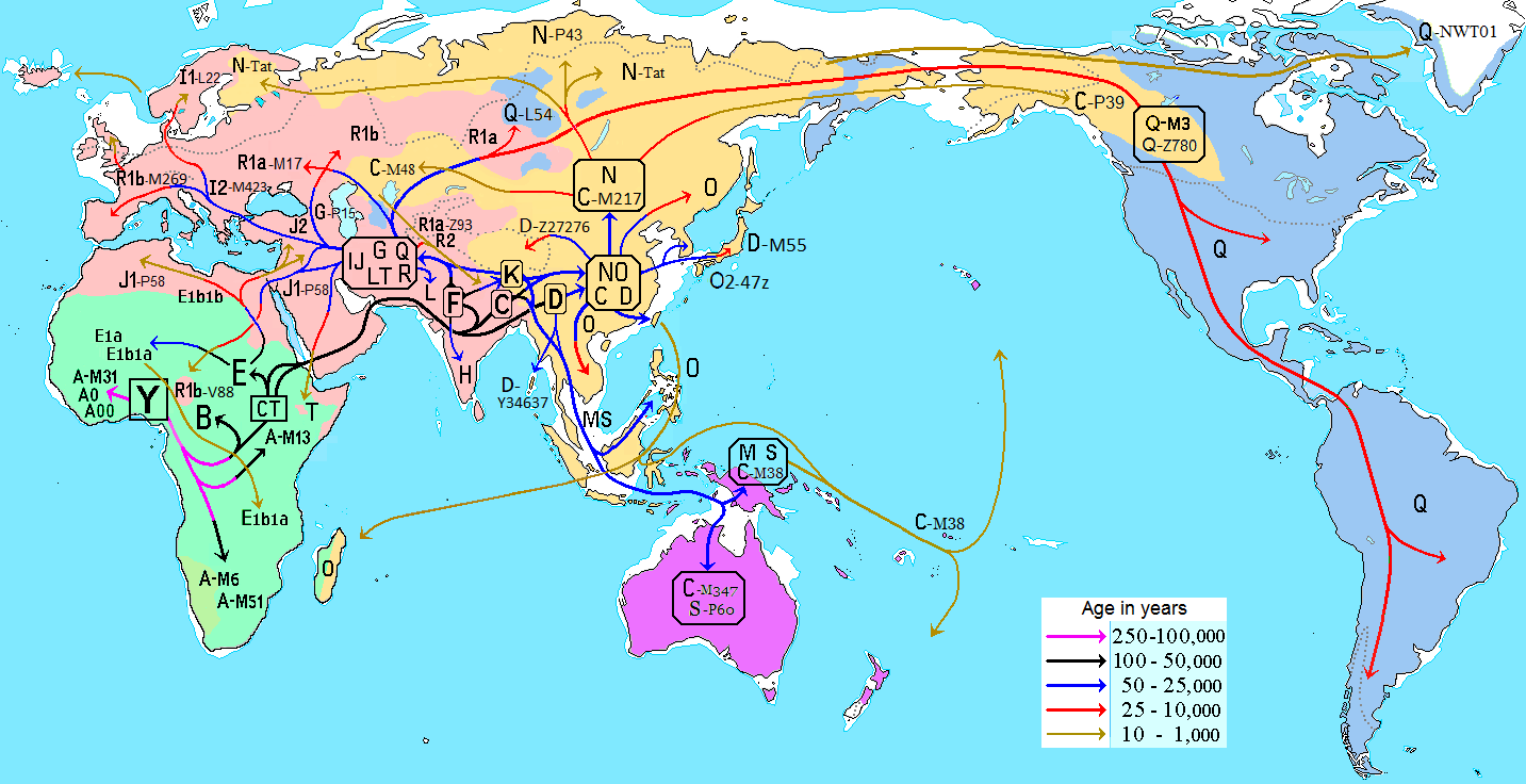 Migraciones_humanas_en_haplogrupos_de_ADN-Y.PNG