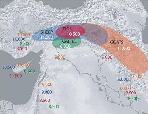 ganaderia_neolitico_mesopotamia.jpg