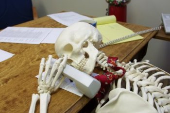 skeleton2-on-hold1.jpg