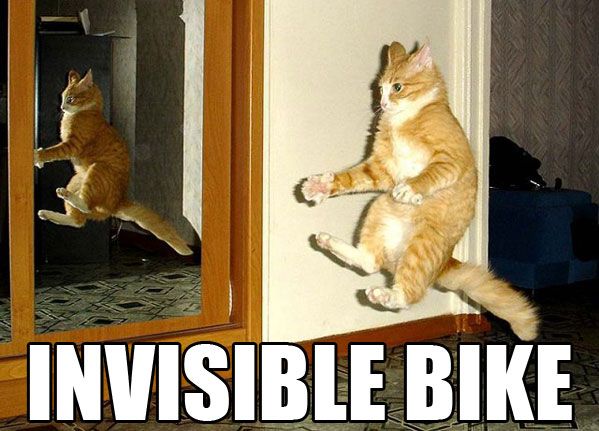 invisible_bike_cat.jpg