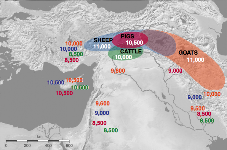 Origin+of+livestock+domestication.png