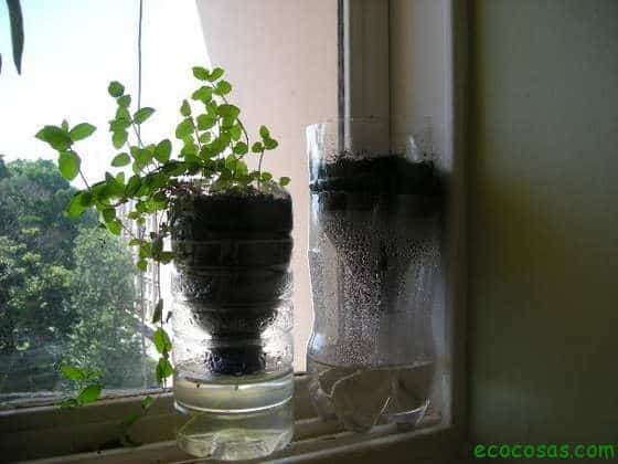 Self-watering-recycled-vase1.jpg