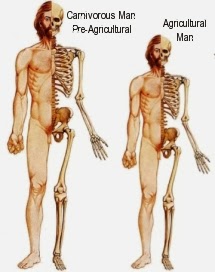 hombre+carn%C3%ADvoro+y+agr%C3%ADcola.jpg