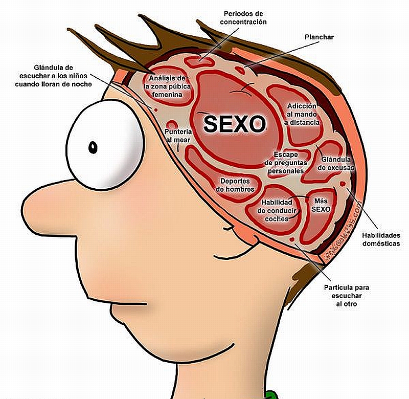 cerebro+masculino.jpg