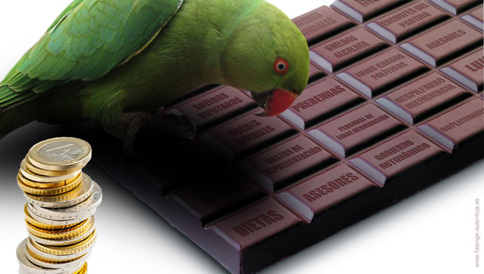 chocolate-del-loro.jpg