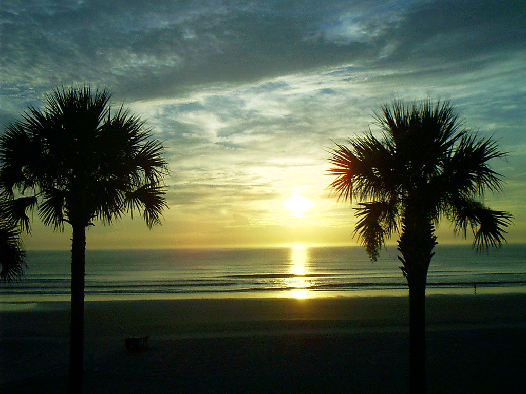 Sunrise_D_B_Shores01.jpg