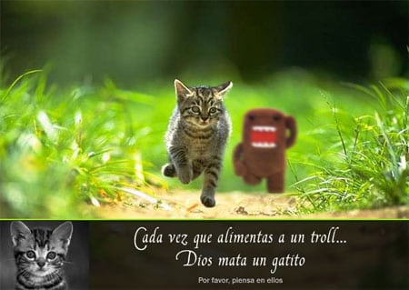 troll-gatito.jpg