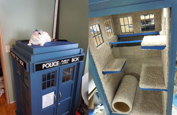 cat%25C2%25B4s+tardis.jpg