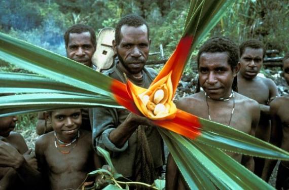 yali-people-west-papua-.jpeg