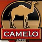 camelofinal.jpg