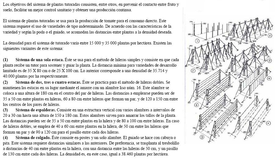 arx1302030920u.JPG